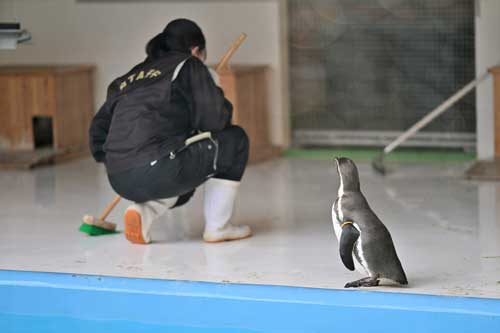 三重県 大内山動物園 私設 個人経営
