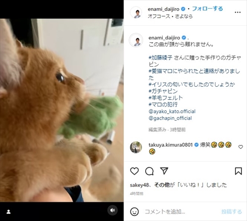 加藤綾子の愛猫