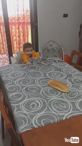 「Toddler Pulls Table Cloth to Get Loaf of Bread || ViralHog」
