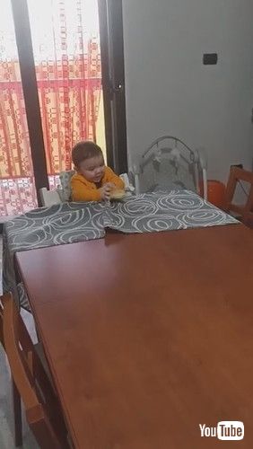 uToddler Pulls Table Cloth to Get Loaf of Bread || ViralHogv