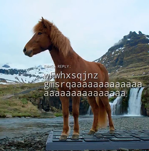 休暇中のメールを馬が代筆するサービスをアイスランド観光サイトが提供　「wFwhxsqjn」などタイピングする姿がかわいい