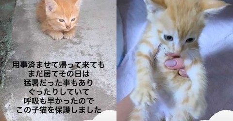 7f0gs X5tpqplm 7f0gs X5tpqplm