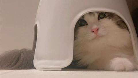 7f0gs X5tpqplm 7f0gs X5tpqplm