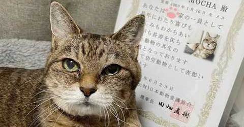 7f0gs X5tpqplm 7f0gs X5tpqplm