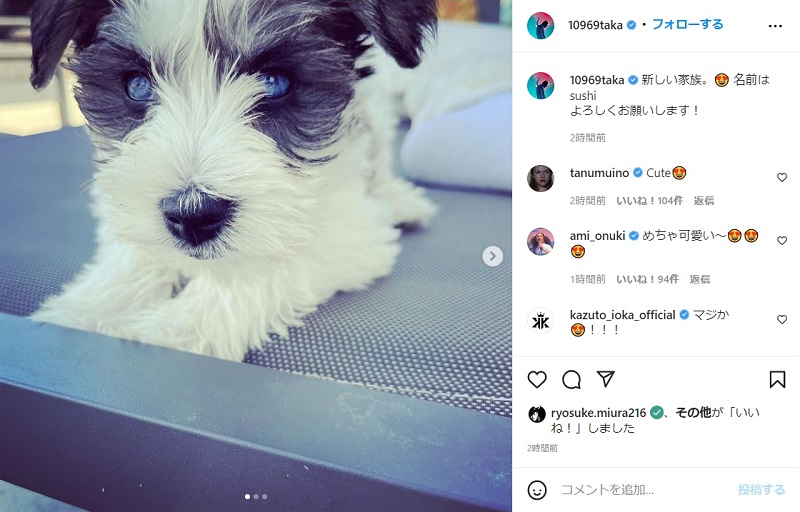 ワンオクtaka 青い目の 新しい家族 を紹介 ぴったりくっつく愛らしい姿にファン 懐いてるー 1 2 ページ ねとらぼ