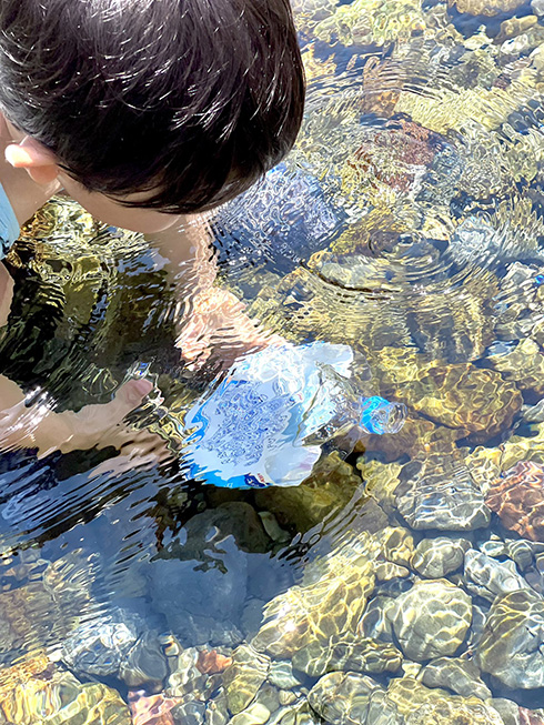 川の水をペットボトルに詰める3歳児　「キラキラだから、たからものにするの」とすてきな発想