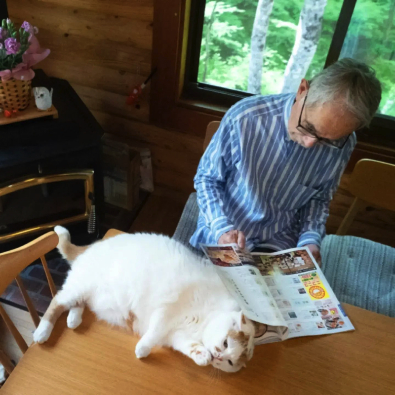 愛猫をなでたいお父さんvs お触り禁止の猫 繰り返されるお父さんの悲劇に「お約束ですね」と楽しむ声 L Nm 2206 Nekotosan