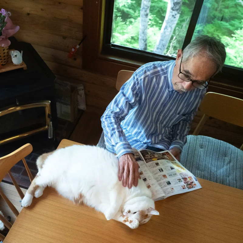 愛猫をなでたいお父さんvs お触り禁止の猫 繰り返されるお父さんの悲劇に「お約束ですね」と楽しむ声 L Nm 2206 Nekotosan