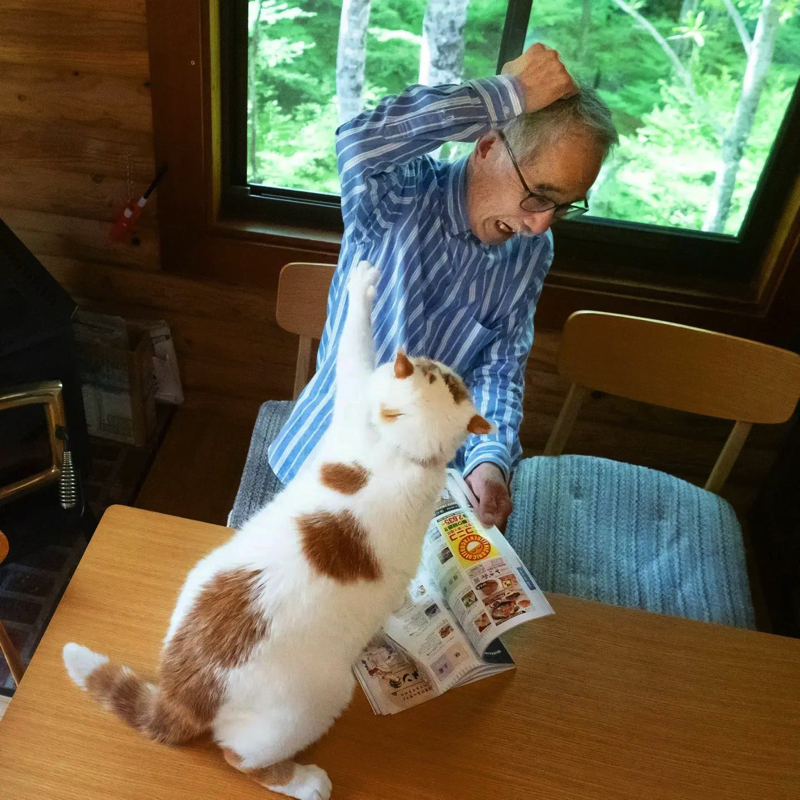 愛猫をなでたいお父さんvs お触り禁止の猫 繰り返されるお父さんの悲劇に「お約束ですね」と楽しむ声 L Nm 2206 Nekotosan