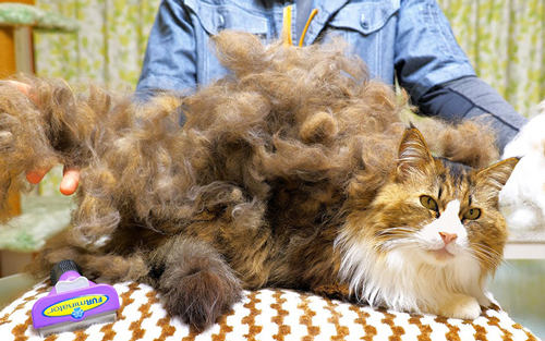 【新品/日本正規品】長毛種用ブラシ S / 猫 ファーミネーター 抜け毛すっきり