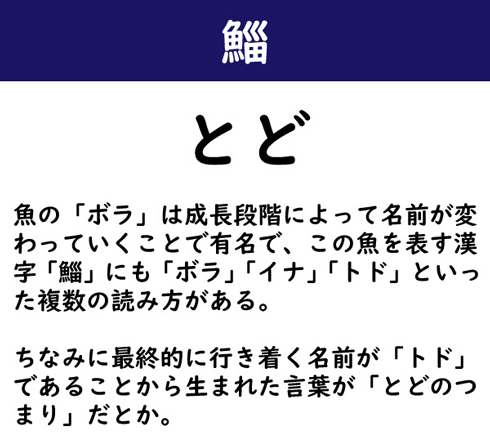 なんて読む 今日の難読漢字 鯔 と 2 11 ページ ねとらぼ