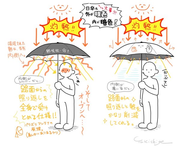 日傘の選び方の画像
