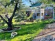 「マッサン」シャーロット、広大なニューメキシコ州の自宅庭を公開　2018年に再婚、2児の母