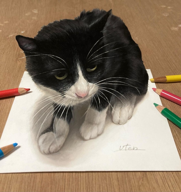 画用紙にのせられた猫……じゃないです 色鉛筆で描いた猫が今にも 