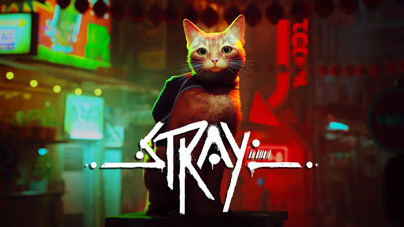 ネコちゃん サイバーパンクなゲーム Stray が発売即トレンド入り シュッと跳ねたりツメとぎしたり リアルなネコ体験を満喫できるぞ 1 2 ページ ねとらぼ