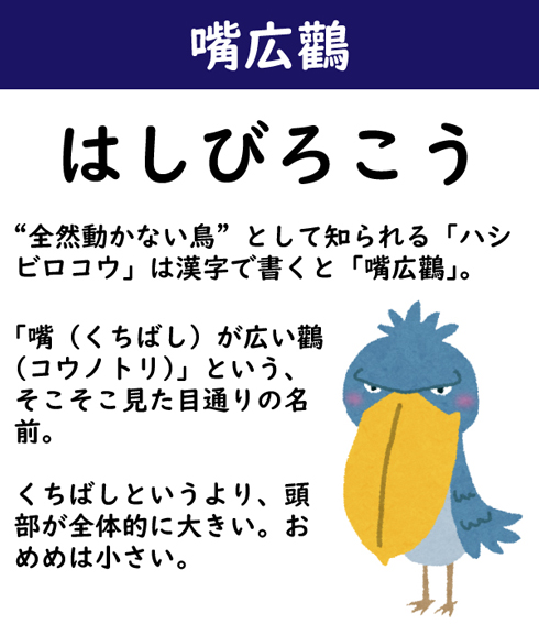 なんて読む 今日の難読漢字 嘴広鸛 2 11 ページ ねとらぼ