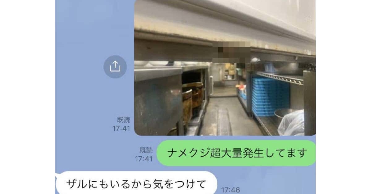 大阪王将 店舗にナメクジやゴキブリが発生 元従業員の 告発 が衝撃与える 大阪王将 事実関係を調査中 1 2 ページ ねとらぼ