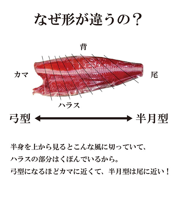 鮭の切り身・なぜ形が異なるのか