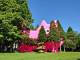 木々のすき間から顔を出す巨大なピンクの猫　箱根・彫刻の森美術館でデカくてかわいいインスタレーション展示