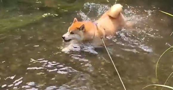 Hdzjignkqwjv1m