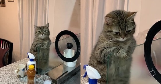 Kyjzwgsrjfrtsm