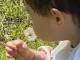 篠田麻里子、2歳娘との“ほっこり動画”投稿も季節外れのタンポポに疑問の声　「この動画いつの」「何で今さら」