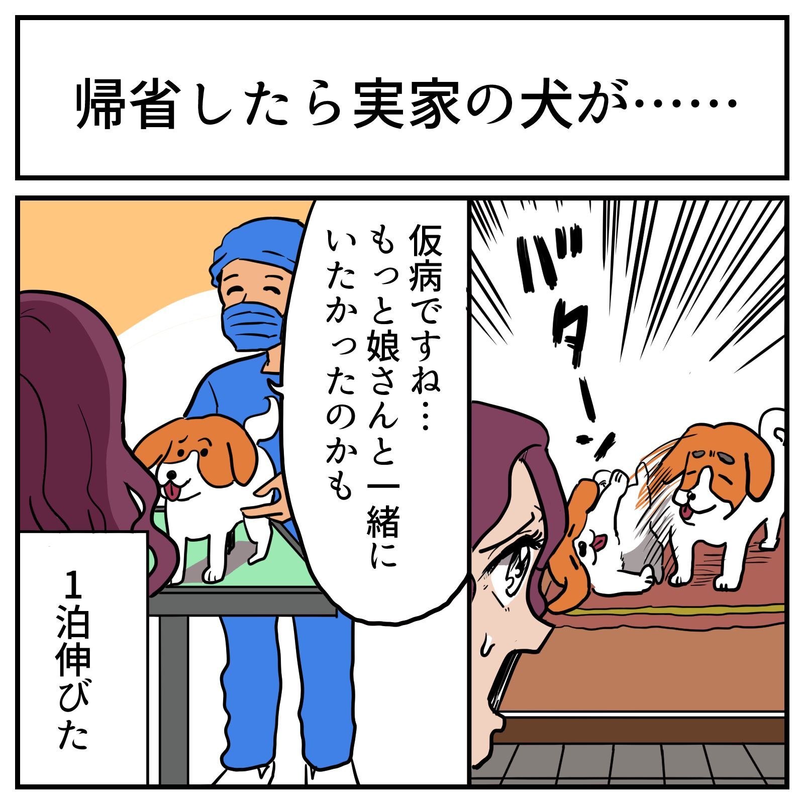 実家から帰る日に犬が倒れた！ 慌てて病院に連れて行ったらまさかの