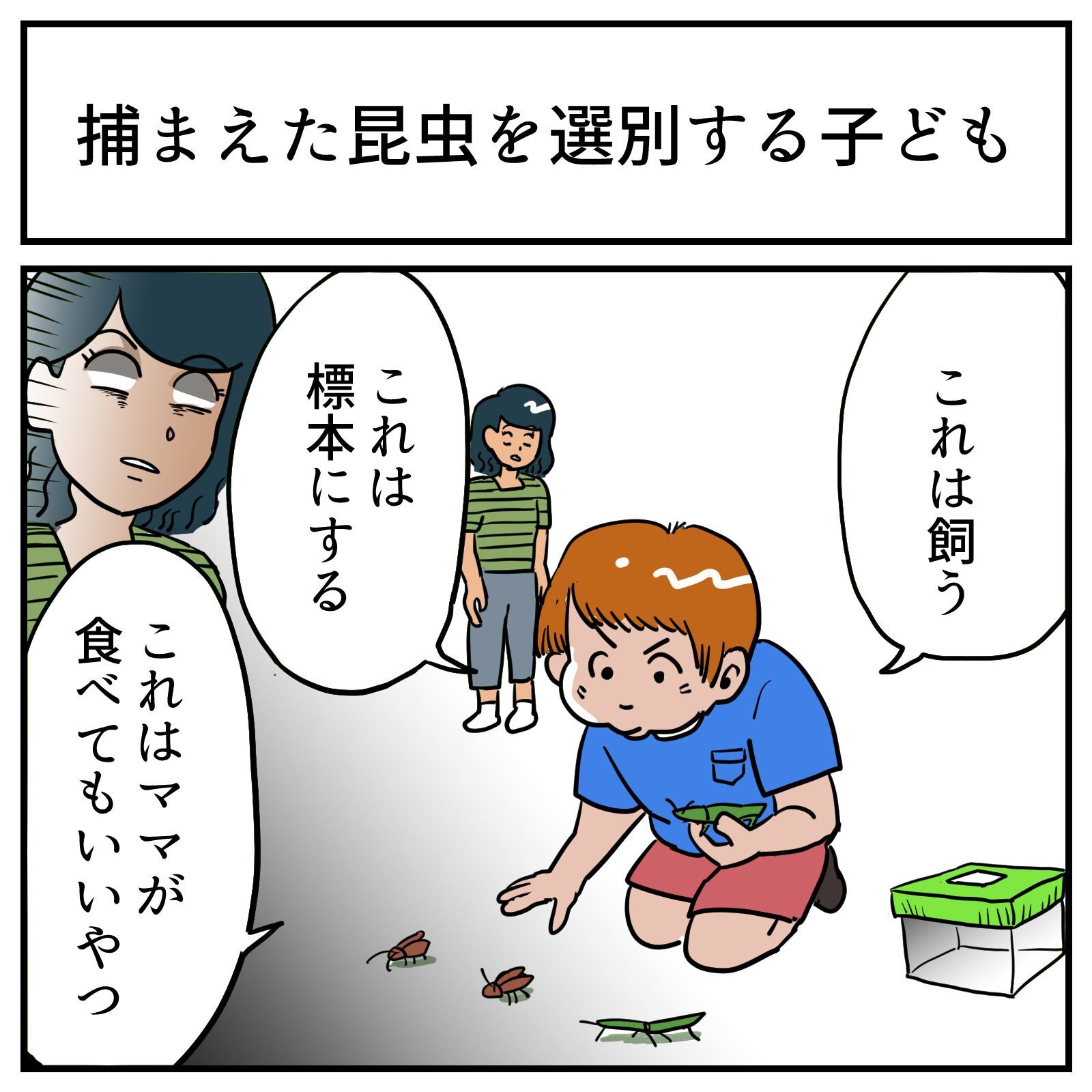 これは標本 これはママが食べていいやつ 昆虫採集してきた息子が始めた選別が不穏 1 2 ページ ねとらぼ これは標本 これはママが食べていいやつ 昆虫採集してきた息子が始めた選別が不穏 1 2 ページ ねとらぼ