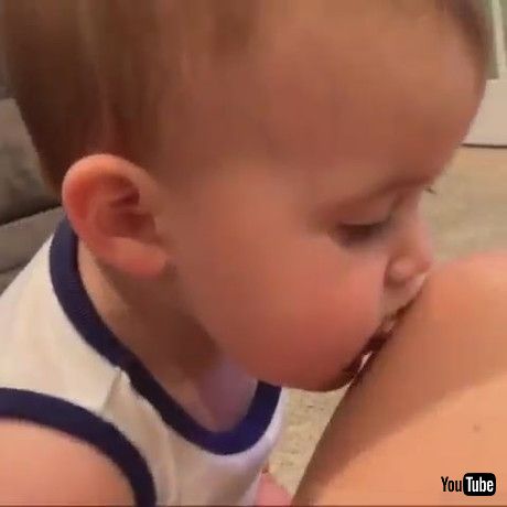 uToddler Boy Mimics Pet Dog by Licking Momfs Leg Like the Dog - 1361151v