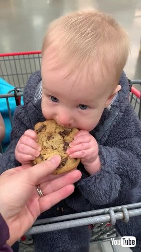 uLittle Baby Gets Obsessed With Chocolate Chip Cookie - 1366850v