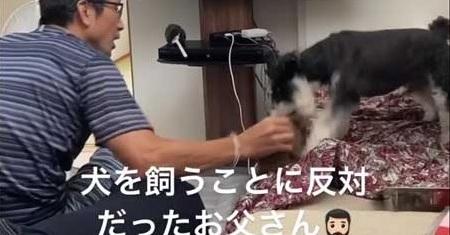 ペット 飼う 反対 トップ