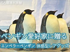 エンペラーペンギンの羽根を使ったクッションなどの返礼品も！ 名古屋港水族館30周年記念のクラウドファンディング実施中 - ねとらぼ