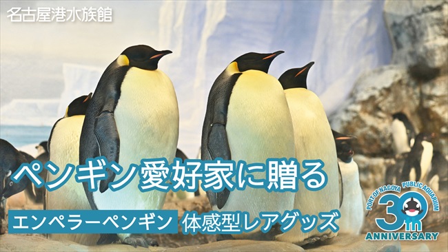 エンペラーペンギンの羽根を使ったクッションなどの返礼品も！ 名古屋港水族館30周年記念のクラウドファンディング実施中 - ねとらぼ