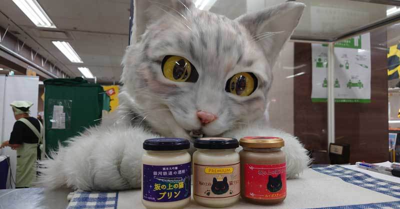 猫ちゃんが接客してくれるの!? プリン専門店のアルバイト猫が