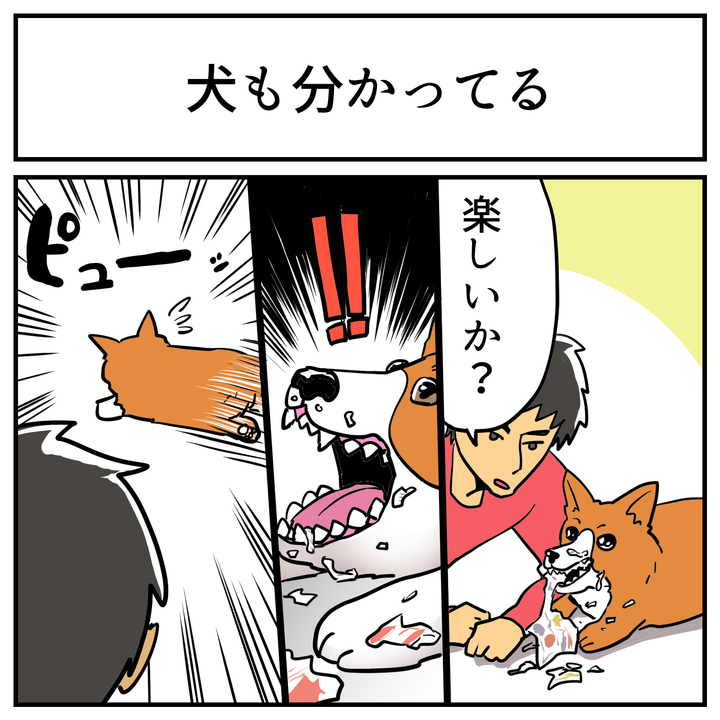 犬のかわいさのひとつは やっちゃいけない悪いことを理解している 点 という意見に賛同の声が多数 1 2 ページ ねとらぼ 犬のかわいさのひとつは やっちゃいけない悪いことを理解している 点 という意見に賛同の声が多数 1 2 ページ ねとらぼ