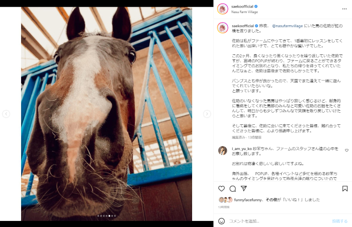 日本で買 かしこい愛馬 | www.artfive.co.jp