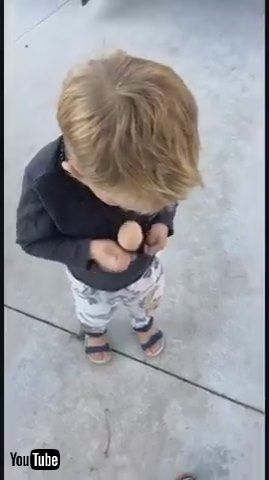 uAdorable Toddler Gets Sad After Accidentally Dropping Egg - 1371503v