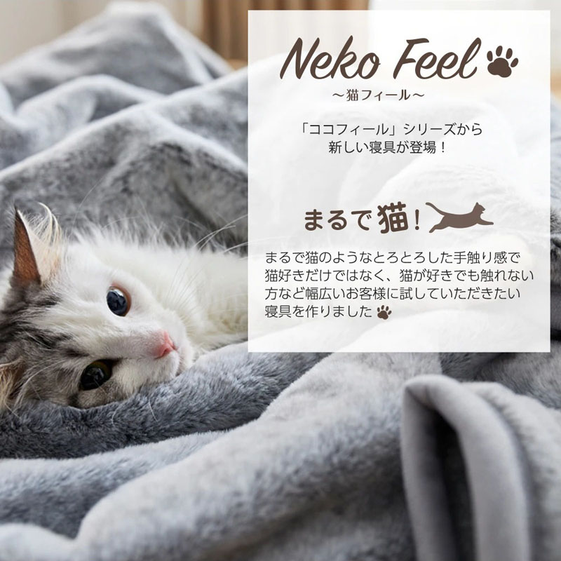 猫の手触り を再現したニッセンの毛布が登場 即日完売の人気 猫好きなのに触れない社員の切実な思いが結実 1 2 ページ ねとらぼ