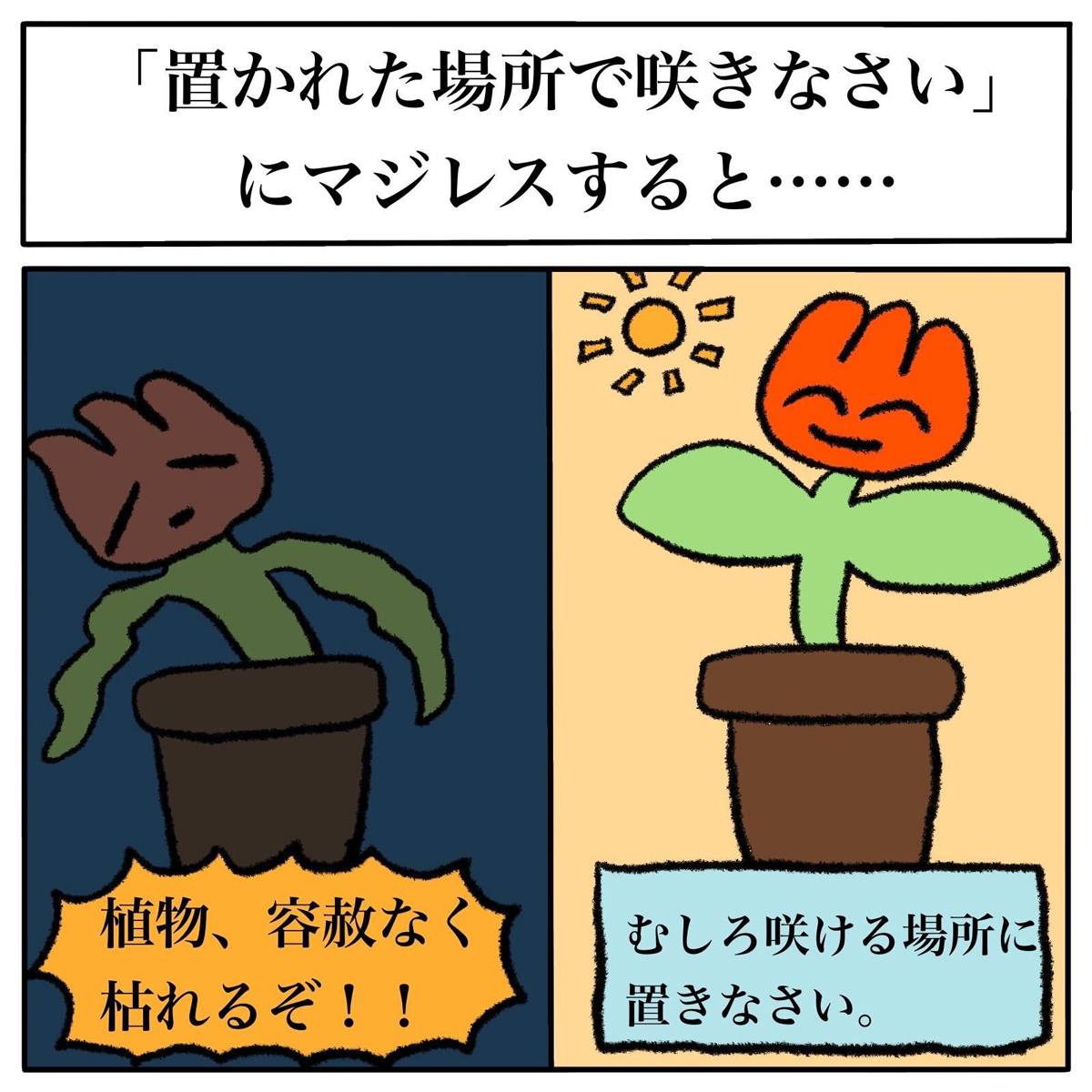 置かれた場所で咲きなさい は残酷な言葉なのか 植物の在り方を踏まえた投稿が話題に 1 2 ページ ねとらぼ