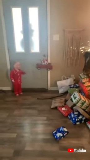 Toddler Surprised With Pony For Christmas