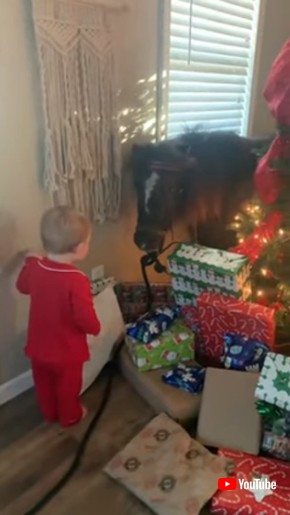 Toddler Surprised With Pony For Christmas
