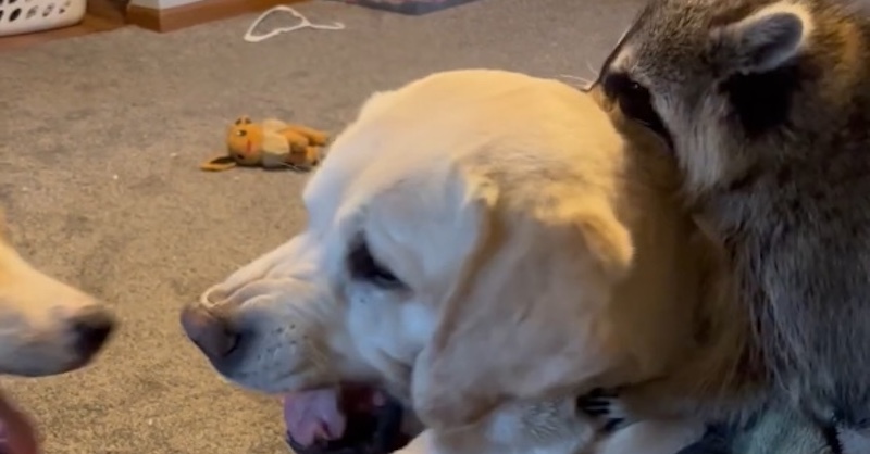 食生活を変える