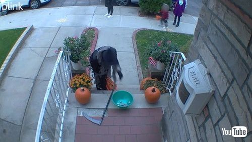 uKid Refills Halloween Candy Bowl From His Own Bag || ViralHogv