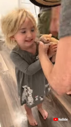 Cutest Reaction From Little Girl on Receiving Surprise Kitten - 1360147