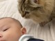 ギャン泣きする赤ちゃんに、猫が近づいて……　心配して寄り添う姿に「母性愛」「感動しました！」の声