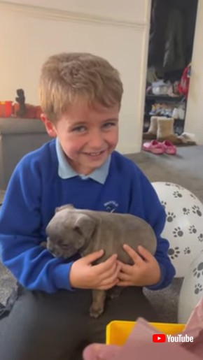 Parents Surprise Boy With Puppy for His Birthday || ViralHog