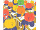 この画像の中に「りんご」が隠れています　探し絵クイズにチャレンジしよう！教室のパプリカにまぎれているよ