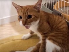 Mtcdruludemomm Mtcdruludemomm