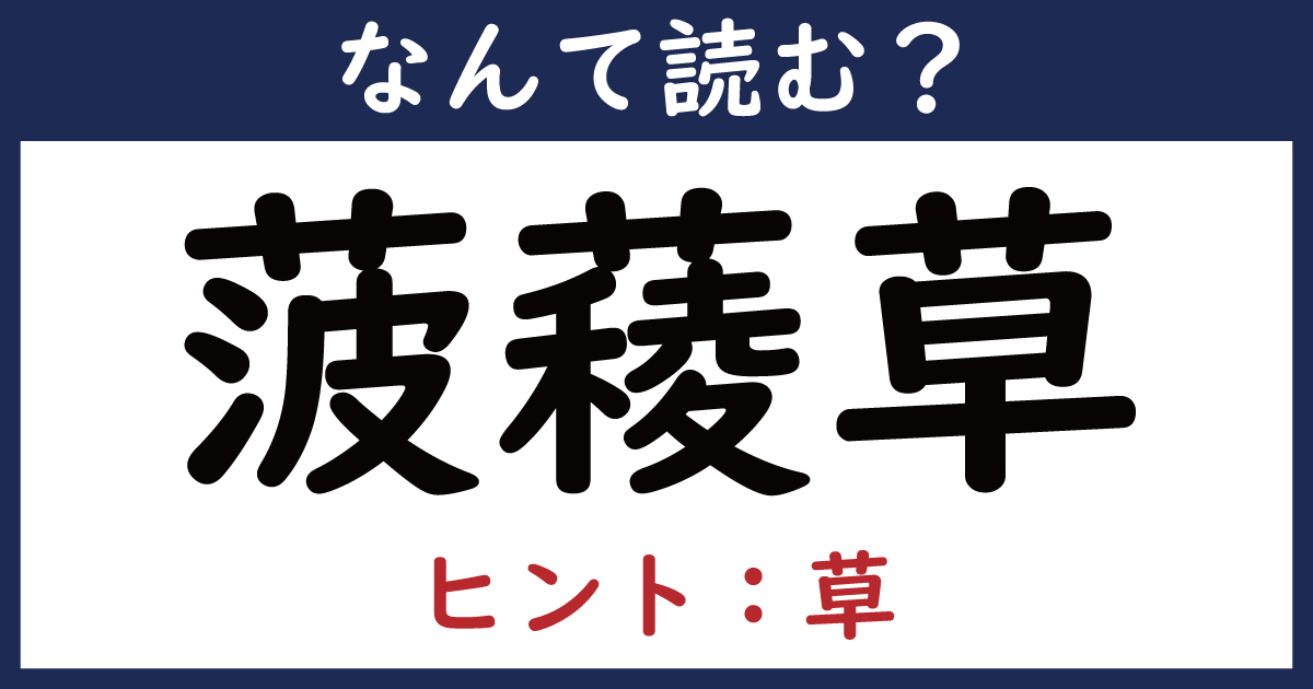 わだかまりって漢字でなんて言うの? – わだかまり 正しい言い方 – BREQ