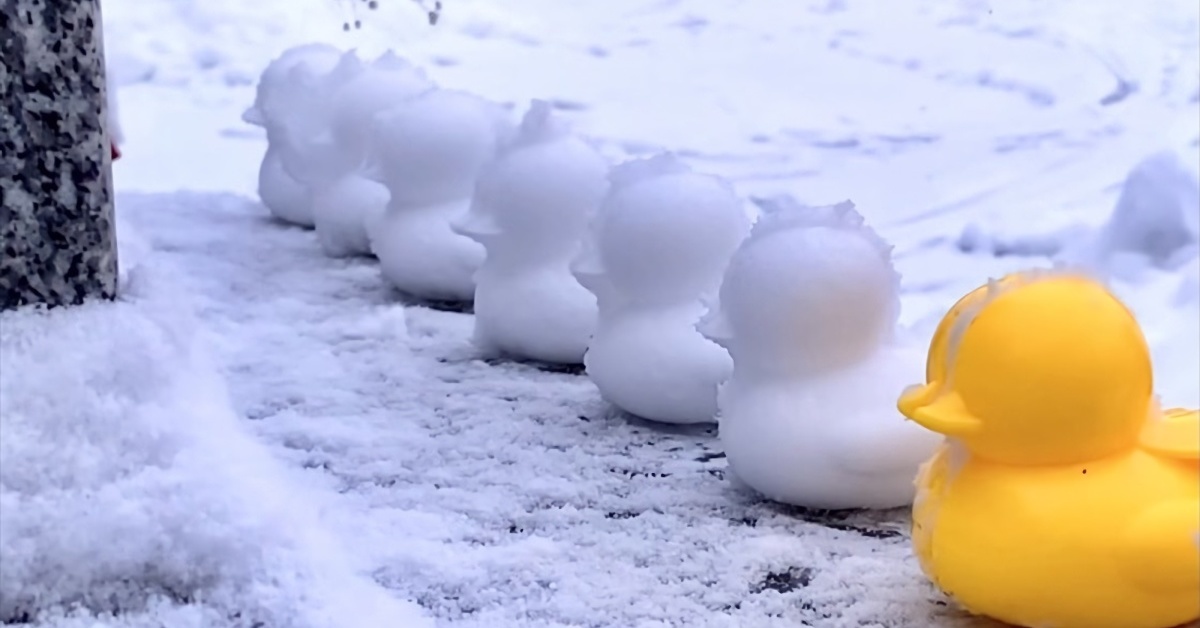 雪ひよこ製造業はじめました」 雪のひよこさんをポコポコ作る様子が 